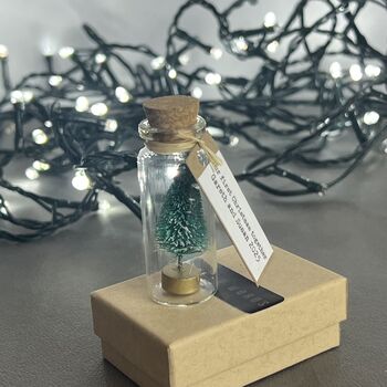Tiny Christmas Tree Keepsake With Personalised Message, 9 of 12