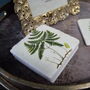 Fern Coasters Set Of Four Table Protectors Plant Lover, thumbnail 6 of 6