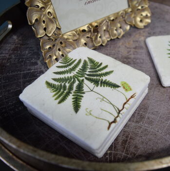 Fern Coasters Set Of Four Table Protectors Plant Lover, 6 of 6