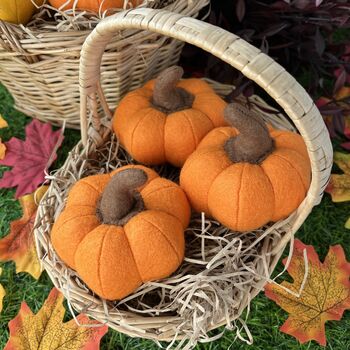 Felt Food Mini Pumpkin Orange, 2 of 3