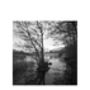 Lake, Wivenhoe, Essex Photographic Art Print, thumbnail 3 of 4