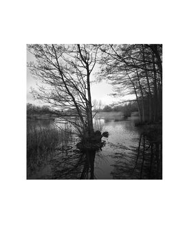 Lake, Wivenhoe, Essex Photographic Art Print, 3 of 4