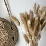 Dried Bunny Tails Natural Lagurus Bunch, thumbnail 1 of 3