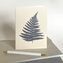 Fern Grey Note Card, thumbnail 1 of 2