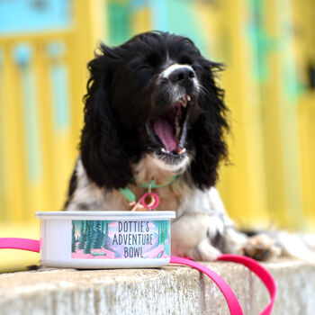 Adventure Awaits Personalised Enamel Pet Bowl, 2 of 10