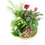 Christmas Planted Arrangement Festive Zinc Planter Indoor Display, thumbnail 3 of 3