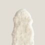Premium New Zealand Single Sheepskin Long Wool Rug Small, thumbnail 4 of 12