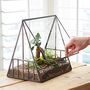 Large Recycled Glass Greenhouse Succulent Terrarium, thumbnail 1 of 6