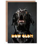 Joke Shocked Black Labrador Dog How Old Funny Birthday Card, thumbnail 1 of 5