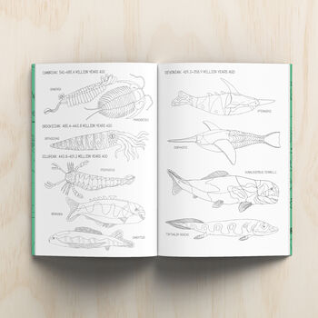The Natural History Colouring Book, 4 of 11