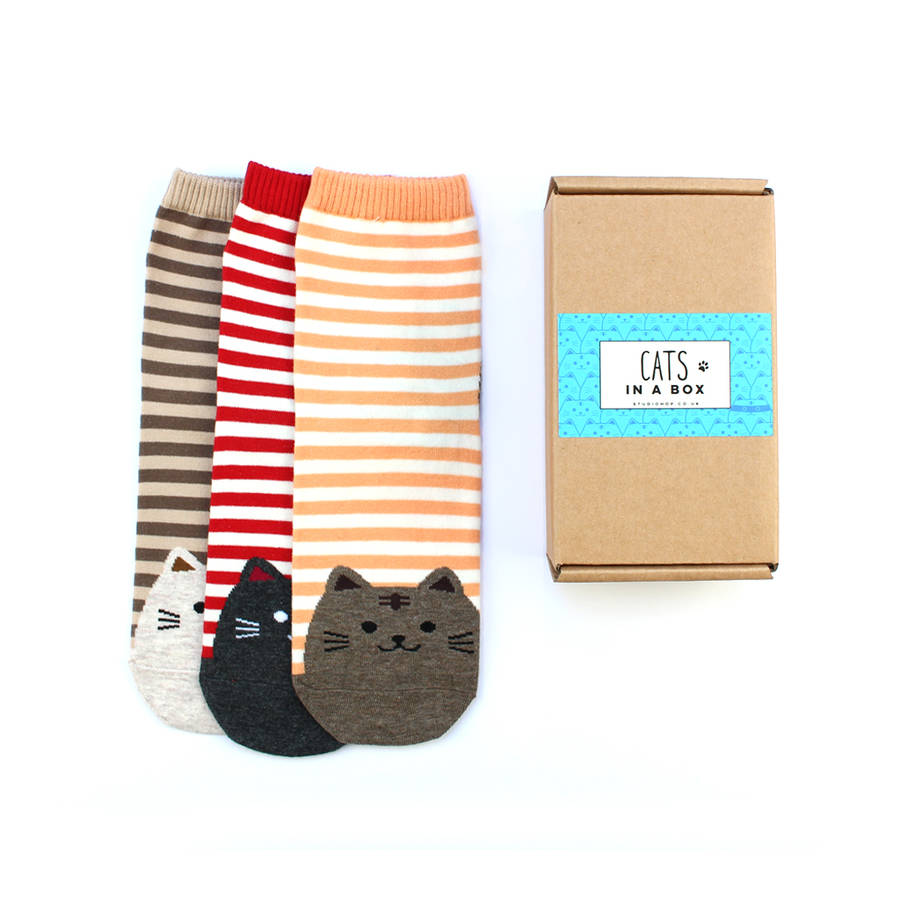 set of three cat socks in a gift box by studio hop