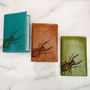 Personalised Leather Passport Holder With Stag Beetle, thumbnail 2 of 12