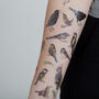 Garden Bird Temporary Tattoo Pack, thumbnail 7 of 7