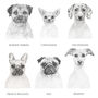 Personalised Dog Paw Print Picture Kit, thumbnail 3 of 3
