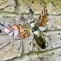 Copper Bumblebee Wall Hanging – Garden Fence Decor – Handmade Metal Bee Art, thumbnail 4 of 8