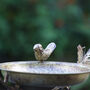 Personalised Butterfly Hanging Garden Bird Feeder, thumbnail 6 of 8