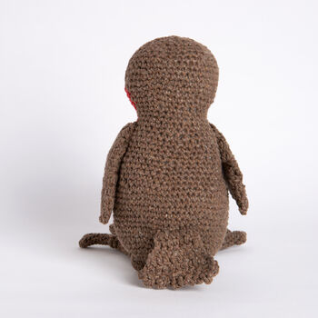 Riley Robin Crochet Kit, 3 of 4