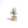 Large Plant Pot Collection, thumbnail 5 of 9