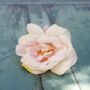 Artificial Garden Rose Bouquet, thumbnail 4 of 5