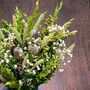 Preserved Solidago Gypsophila Bouquet ''Stour'', thumbnail 4 of 5
