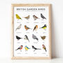 'British Garden Birds' Print, thumbnail 2 of 3