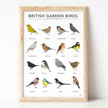 'British Garden Birds' Print, 2 of 3