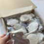 Neutral Baby Shower Biscuit Favours, thumbnail 7 of 7