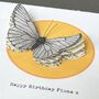 Personalised Framed Butterfly Art – Graduation Or Milestone Birthday Gift, thumbnail 3 of 9