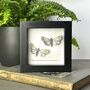 Personalised Two Moths And Moon Artwork, thumbnail 8 of 10