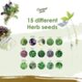 Grow Your Own Gardening Kit With 100 Seed Varieties, thumbnail 4 of 7