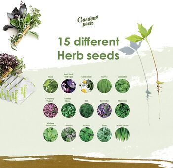Grow Your Own Gardening Kit With 100 Seed Varieties, 4 of 7