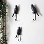 Set Of Three Black Bird Wall Hooks, thumbnail 4 of 4