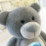 Personalised Dinosaur Alphabet Grey Plush Teddy Bear, thumbnail 6 of 10