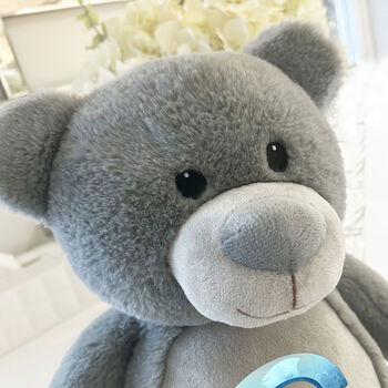 Personalised Dinosaur Alphabet Grey Plush Teddy Bear, 6 of 10