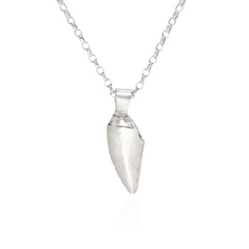 Silver Raptor Tooth Necklace, 2 of 5