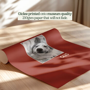 Personalised Pet Dog Photographic Print, 9 of 12