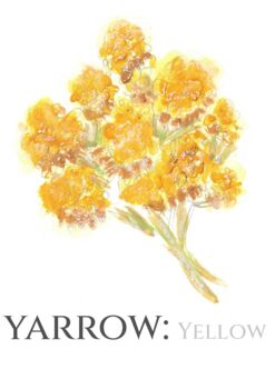 Yarrow Table Name Number Double Sided A5 Wedding Stationery, 2 of 6