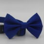 Bright Blue Dog Bow Tie, thumbnail 2 of 7