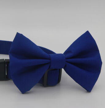 Bright Blue Dog Bow Tie, 2 of 7
