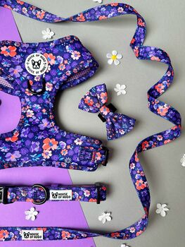 Ditsy Floral Dog Harness Bundle Collar And Lead Set, 12 of 12