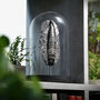 Orthocera In Matrix Authentic Fossil Glass Dome Bell Jar Tabletop Home Decoration, thumbnail 1 of 6