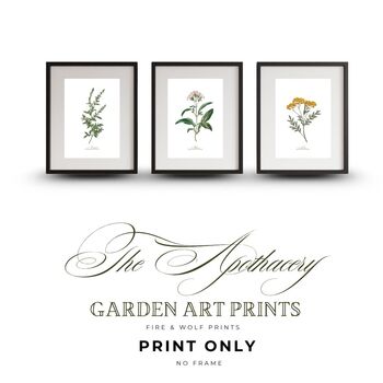 Set Of Six Vintage Botanical Art Prints | A4 Lithograph Style With Latin Names | Wall Art For Home Interiors, 3 of 12