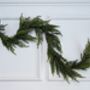 Real Touch Norfolk Pine Garland, thumbnail 1 of 2