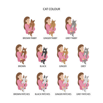 Personalised Crazy Cat Lady Tea Towel, 3 of 4