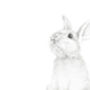 Bunny Dreams Wallpaper, thumbnail 2 of 2