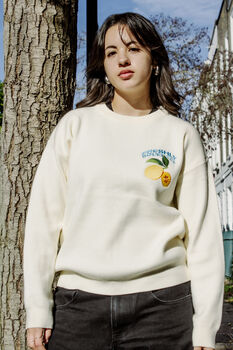 Cream Lemon Embroidered Knit Jumper, 5 of 8