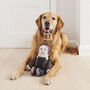 Elon Musk Parody Dog Toy, thumbnail 2 of 11
