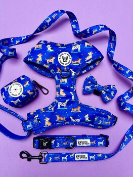 Skateboarding Dogs Adjustable Padded Dog Harness, 4 of 6