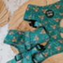 Happy Highland Cow Dog Harness, thumbnail 8 of 12