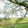 Personalised Oak Rope Swing, thumbnail 3 of 12